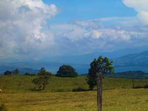 At the top of the ridge between the lake and coastal lowlands, the lots have distant lake views. 